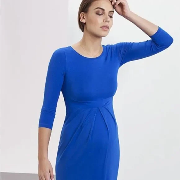 Isabella Oliver Ivybridge Maternity Dress Size 2 - Picture 1 of 4